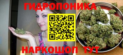 бошки Будённовск