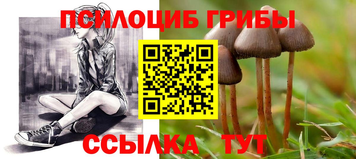 Сергиев Посад  Галлюциногенные грибы ЛСД  Вход с VPN 